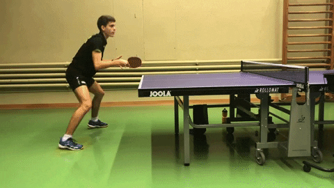 Elias Hardmeier, TTC Neuhausen